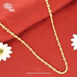 Cbe Fancy Gold Chain Cbe Fancy Gold Chain